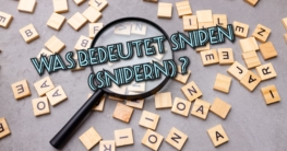 snipen