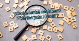 hide the pain harold