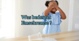 emsebremse