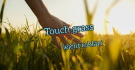 touch grass