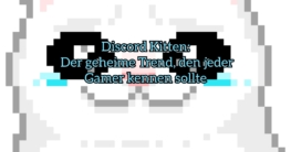 discord kitten