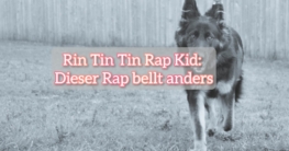 rin tin tin