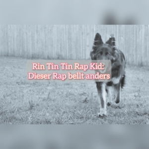 rin tin tin