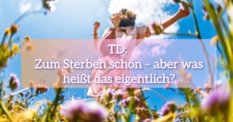 TD