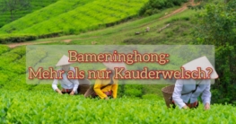 bameninghong
