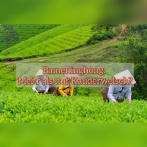 bameninghong